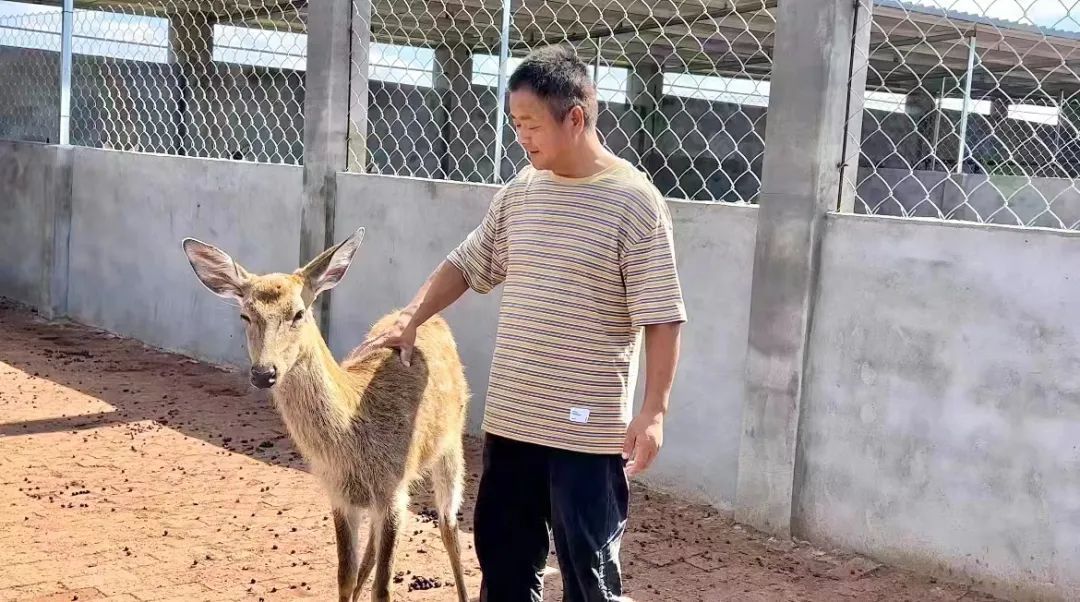 ag十大网站
