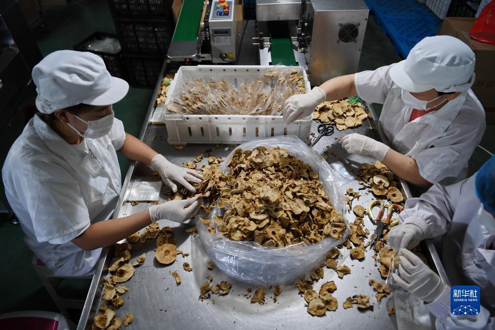 永利网址登录